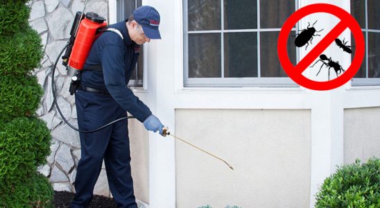 Baklan Fare İlaçlama böcek ilaçlama ve haşere kontrolü — ilaclama-tr.com